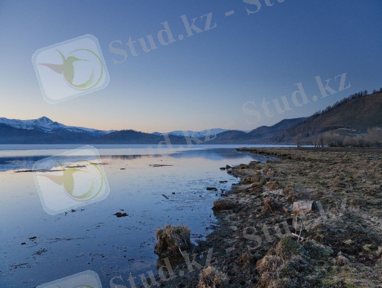 http://el.kz/media/images/tiny_images/c33ac15ba6ab3b74ebaed3636e7ef02e.jpg