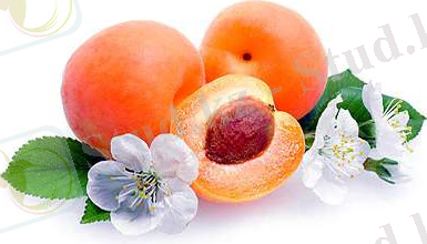 http://cs605120.vk.me/v605120157/4999/U1_RqvlgmuA.jpg
