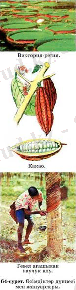 http://tak-to-ent.net/uchebniki/geo7kz/image073.jpg