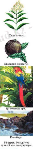 http://tak-to-ent.net/uchebniki/geo7kz/image074.jpg
