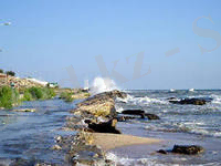 http://im8-tub-kz.yandex.net/i?id=227051689-42-72&n=21