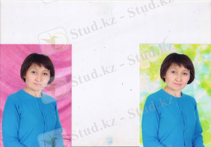 5 006.jpg
