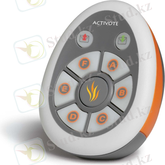http://reflectionsav.com.au/Tempo/versions/v_rav_01/images/product_gallery/promethean/promethean_pr-lrsavote_p1_xl.jpg