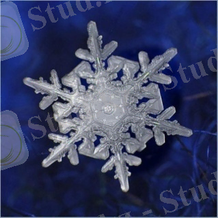 http://www.workfromhome.com.ua/img_books/snowflake_02.jpg
