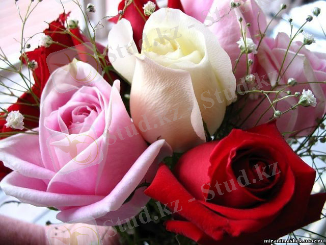 http://www.isfarinka.ru/e107_files/public/1336207455_1945_FT2045___.jpg