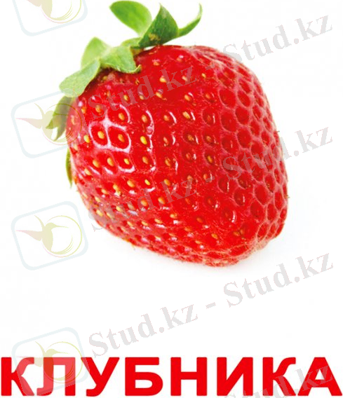 http://static2.read.ru/images/illustrations/1332998717325877617.jpeg