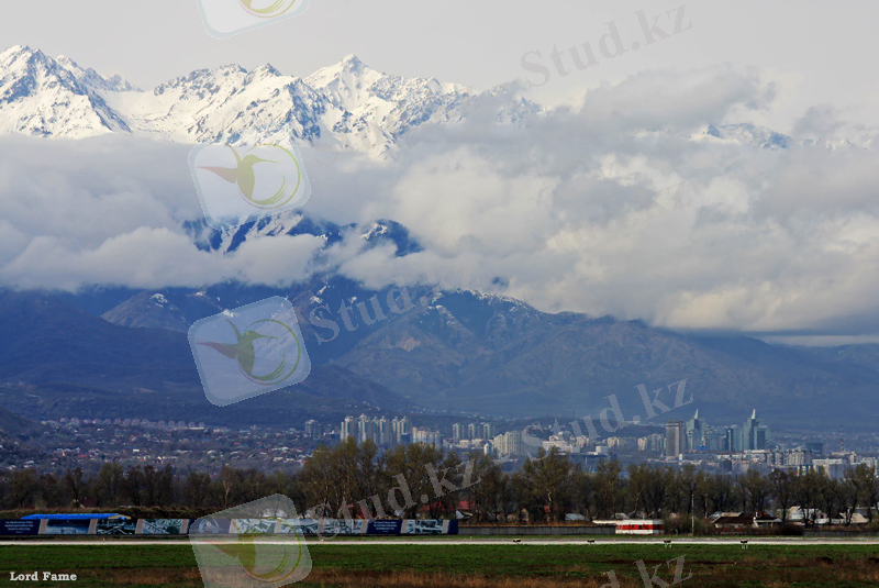 http://im7.asset.yvimg.kz/userimages/lord_fame/Y0Z61GOipUH8m2C188m1tTX0YVHM1Z.jpg