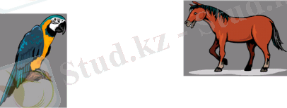 2.bmp