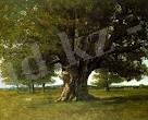 dub01