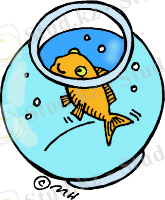 g-fishbowl4c