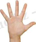 http://blogtime.kz/uploads/images/00/00/14/2014/04/20/f570a2.jpg