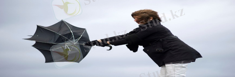 https://agroinfo.kz/wp-content/uploads/2015/06/wind-umbrella-1200.jpg