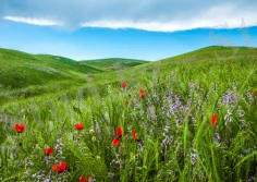 https://egemen.kz/media/2019/08/20/targap-dgaylauy-suret-dosdgan-balabekuly-3.jpg