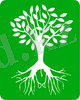 E:\Айгуль\Рисунки для документов\растения\TREROOTS.WMF