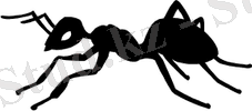 E:\Айгуль\Рисунки для документов\животные\ANT.WMF